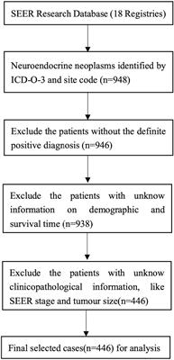 Biliary Neuroendocrine Neoplasms: Analysis of Prognostic Factors and Development and Validation of a Nomogram